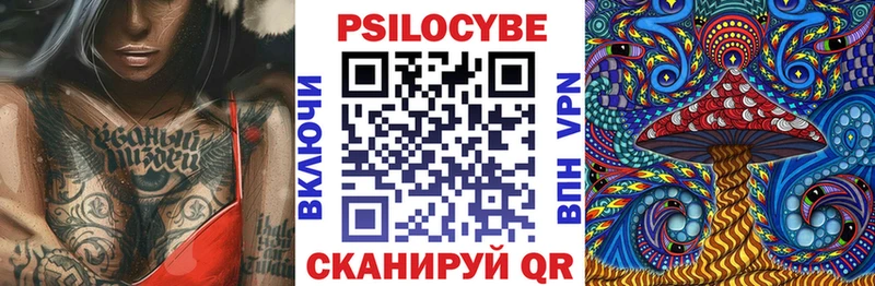 shop как зайти  наркотики  Петрозаводск  Псилоцибиновые грибы прущие грибы 