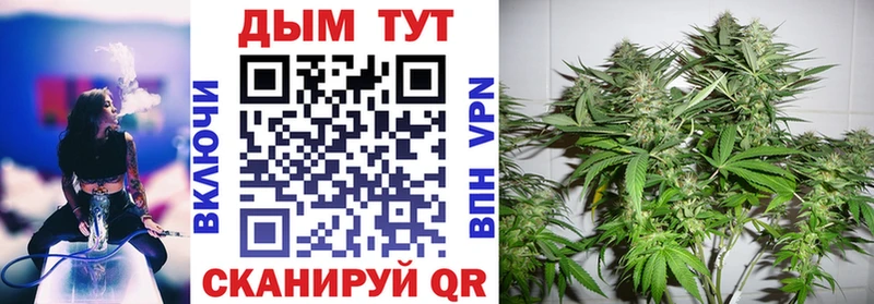 Шишки марихуана VHQ  Петрозаводск 